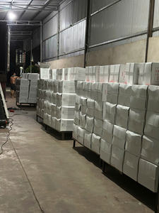 Anacardos frescos ricos en nutrientes de calidad superior y que cumplen con los estándares de exportación, una excelente opción de refrigerio saludable - Product Image 5