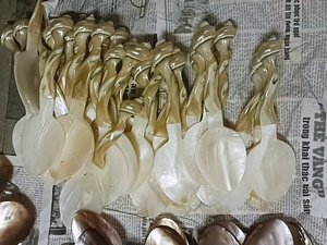 Cuillère artisanale moderne en nacre pour caviar et sel |   Cuillère en coquillage écologique polie pour décoration de mariage – Prix de gros - Product Image 5