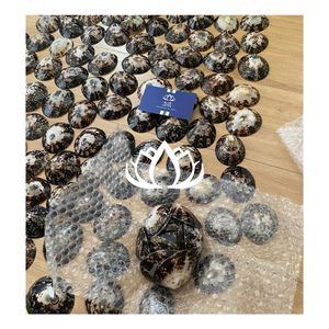 Coquillages de limaces marines polies du Vietnam, les mieux notées 2026, pour la fabrication de bijoux, l'artisanat fait main, la décoration intérieure côtière BLUE LOTUS - Product Image 4