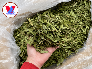 Hojas de Stevia Rebaudiana Secas Naturales Enteras, Bolsa de 10 kg, para Compradores al por Mayor y Proveedores de Ingredientes Alimenticios - Product Image 6