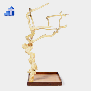 Decoración de Acuario de Madera Natural, Forma Irregular, Adorno Duradero con Base de Madera - Product Image 5