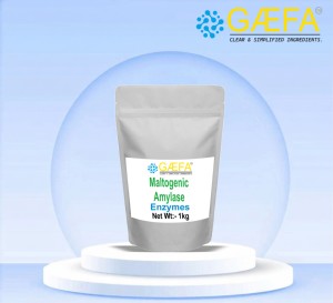 Aditivo Alimentario GAEFA, Polvo de Maltasa, Enzima Amilasa Maltogénica - Product Image 3