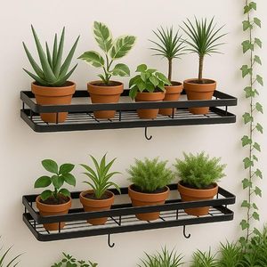 Support mural pour plantes en fer noir thermolaqué, moderne, suspendu, vertical, avec finition résistante à la rouille - Product Image 3