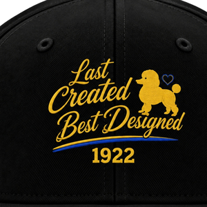 หมวกแก๊ป Snapback สำหรับสตรี ลายปักตัวอักษรกรีก Sigma Gamma Rho แบบกำหนดเอง หมวกเบสบอลปีกแบนปรับได้ แฟชั่น - Product Image 6