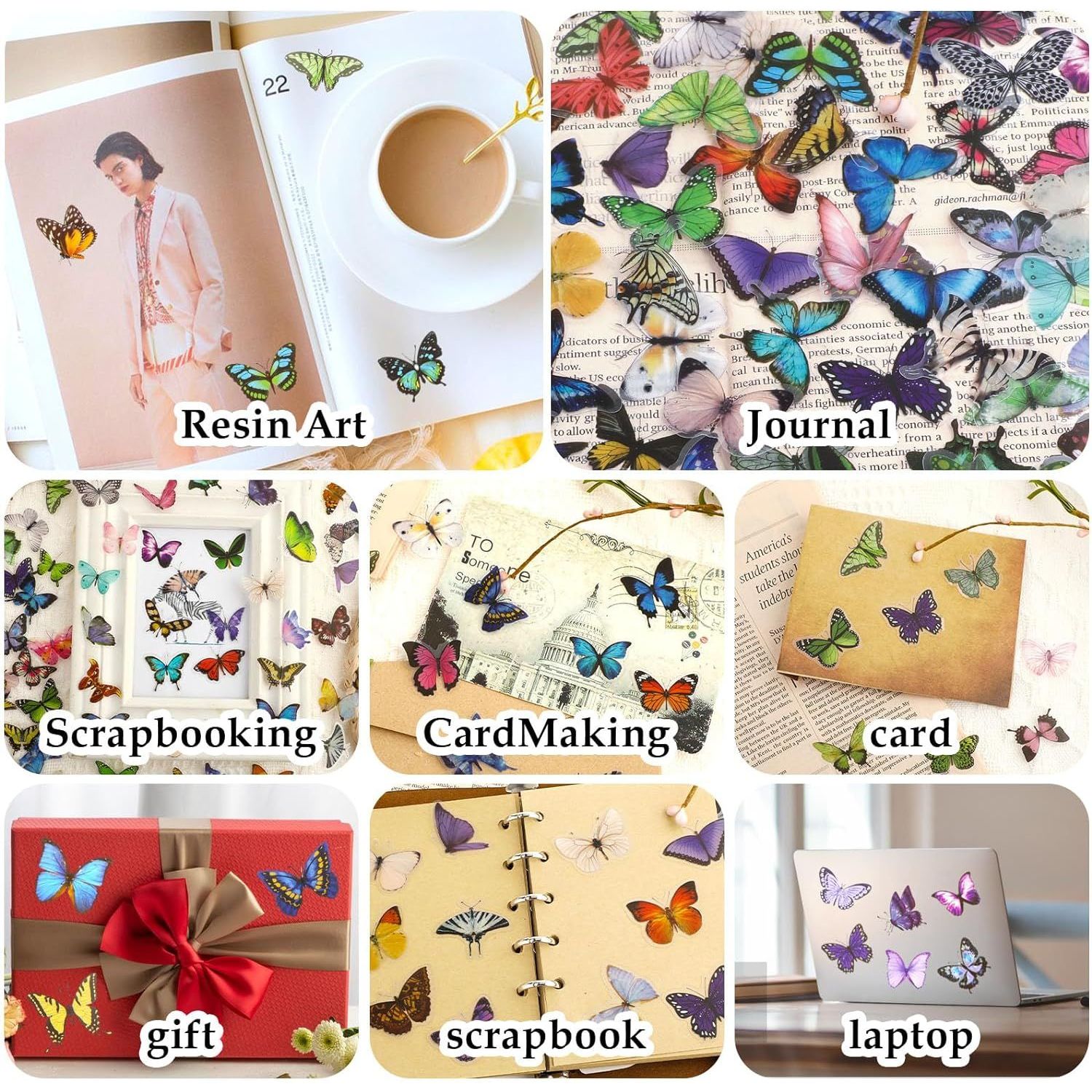 Bianco/Rosa/Blu/Giallo/Verde/Viola