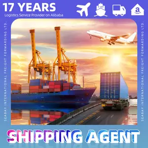 2023 Offre Spéciale Lcl transitaire Cargo porte-à-porte Service Guangzhou Ddp Agent maritime vers le japon malaisie corée Philippines