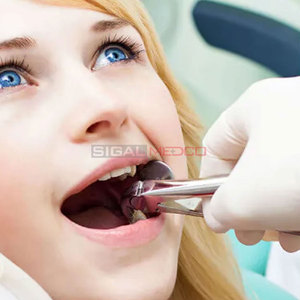 Juego de 12 Pinzas de Extracción Dentales Ergonómicas de Primera Calidad, Herramientas de Extracción Dental Superior e Inferior de Alta Gama con Estuche, Instrumentos Médicos - Product Image 2