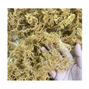 สาหร่ายทะเลแห้ง FD แบบหั่นเป็นชิ้น สาหร่ายขาวทะเล รสเค็ม อุดมด้วยแร่ธาตุ ผลิตจากคาเมา เวียดนาม 99 GD บรรจุถุงใหญ่ 0.5-2 กก. อายุการเก็บรักษา 12 เดือน - Product Image 1