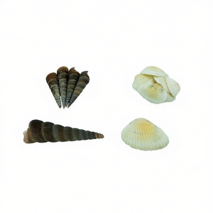 Coquillages décoratifs naturels pour aquarium Yommy - Product Image 2