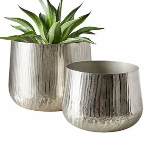 Modern <b>Brass</b> Flower <b>Pot</b> With Green <b>Plant</b> Indoor Desktop Planter Minimalist Circular Design Handmade Planter - Product Image 4