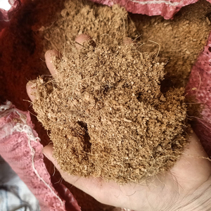 Tourbe de coco vietnamienne de haute qualité, milieu de culture naturel pour l'agriculture, l'hydroponie et le jardinage - Product Image 3