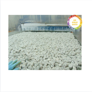 Cubes de fruits du dragon congelés Pitaya rouge naturel du Vietnam Idéal pour les boissons glacées et les desserts - Product Image 3