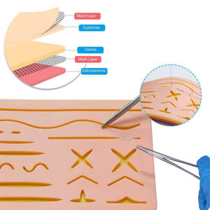 Stainless Steel Suture Training Kit for Medical Students with 17 Pre-Cut Wounds Pads <b>Tools</b> & <b>Thread</b> (CE Certified) By Dentavex - Product Image 3