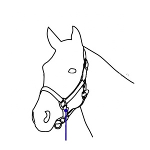 Nouvel ensemble de harnais et de licol en nylon rembourré pour chevaux, fabriqué en Inde - Product Image 2