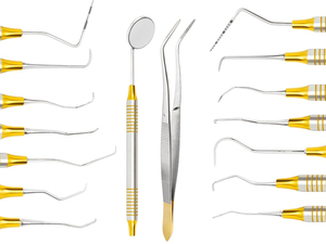 10 PCs Dental Hygienist <b>Tool</b> Kit | Stainless Steel Prophylaxis <b>Teeth</b> <b>Cleaning</b> Set with Sterilization Cassette Tray - Product Image 2