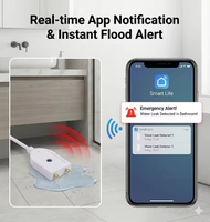 Détecteur de fuite d'eau intelligent WiFi Tuya, alarme, application Smart Life, alerte d'inondation pour sous-sol et lave-linge