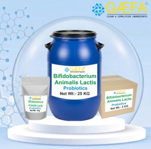 Poudre de Probiotiques Lyophilisés de Haute Qualité et à Stabilité Élevée Bifidobacterium Animalis Lactis Soutien Immunitaire Santé Digestive - Product Image 4