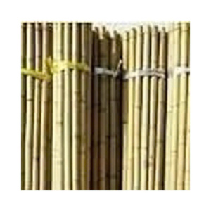 Bâtons et cannes en bambou naturel de Tonkin, droits et secs - Product Image 1