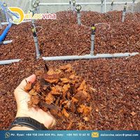 COCO Chip HUSK kualitas PREMIUM kadal ular kelapa reptil substrat