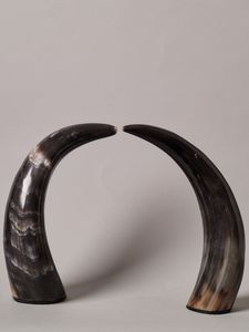 เขาควายธรรมชาติ รูปทรงธรรมชาติ ของตกแต่งบ้าน งานฝีมือจากสัตว์ - Product Image 3