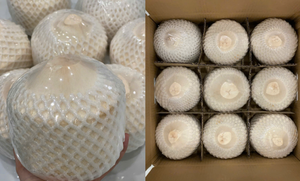 ส่งออกมะพร้าวสดรูปทรงเพชร |   มะพร้าวน้ำหอมอ่อนสีเขียว ค่าบริกซ์สูง - Product Image 5