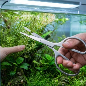Ciseaux d'aquarium de 6,5 pouces en acier inoxydable, ciseaux aquatiques, fabricant OEM - Product Image 1