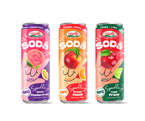 Refrescantes Bebidas de Soda de Frutas 320ML, Jugo de Arándanos con Gas en Lata, Bebidas Sin Alcohol de Marca Privada OEM, Fábrica en Vietnam ODM - Product Image 5