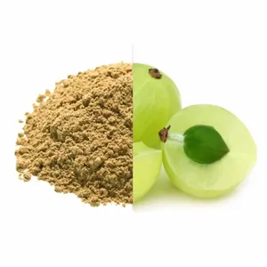 Poudre d'Amla de Qualité Export, Poudre Naturelle de Groseille Indienne pour Cosmétiques, Compléments Alimentaires et Produits à Base de Plantes, Fourniture en Gros OEM - Product Image 4