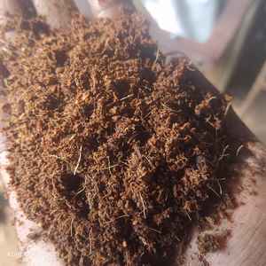 KOPEAT Coco Sport Grow, Bloques de Coco 100% Puro, Naturales, Color Marrón, Cuadrados, 5 kg, Vida Útil de 5 Años, Venta al por Mayor en Tamil Nadu - Product Image 5