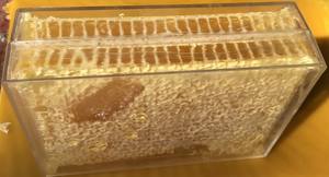 <b>Raw</b> <b>Organic</b> Honeycomb Vietnam Origin High Quality Sweet <b>Honey</b> Direct From Our Bee Farms - Product Image 6