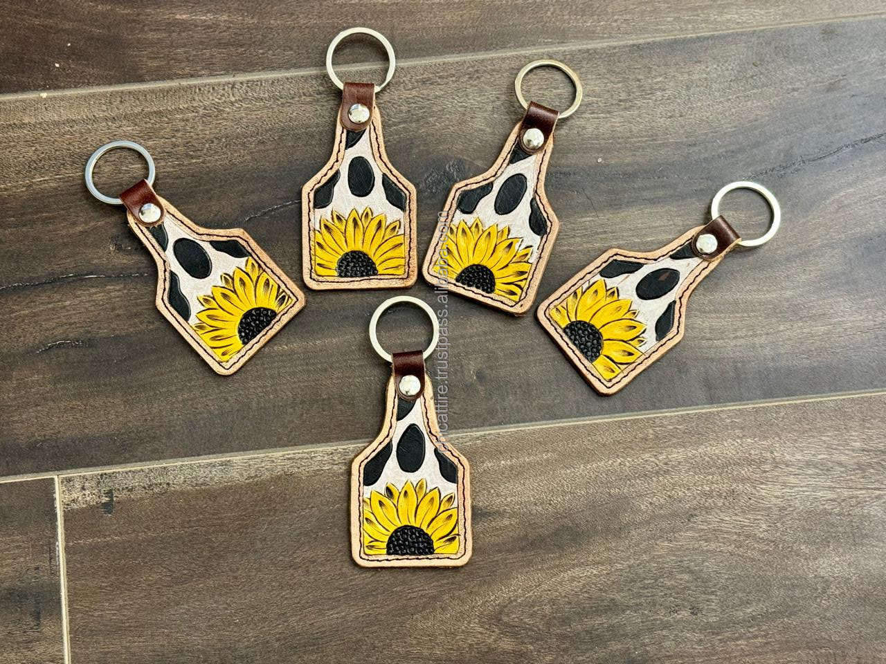 Brown avec l'outillage de couleur