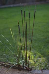 Piquet de jardin en métal floral rustique élégant, sculpture botanique moderne pour pelouse, décoration extérieure - Product Image 3