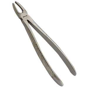 Pinzas de Extracción Dental de Acero Inoxidable, Alicates Quirúrgicos de Ortodoncia, Herramientas Profesionales para Dentistas, Venta al Por Mayor OEM - Product Image 6