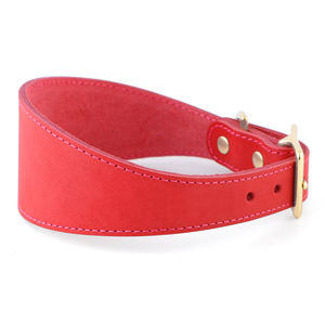 Collar de Cuero para Mascotas, Diseño Nuevo, Venta al por Mayor, 100% Cuero Vacuno Genuino de Grano Completo, Diseño de Forma Única, Fácil de Ajustar - Product Image 5