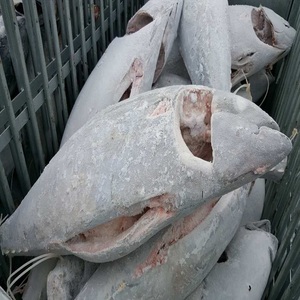 Thon jaune entier congelé à prix avantageux pour les commerçants en produits de la mer, les restaurants, les marchés de poissons et les fournisseurs professionnels de produits alimentaires - Product Image 5
