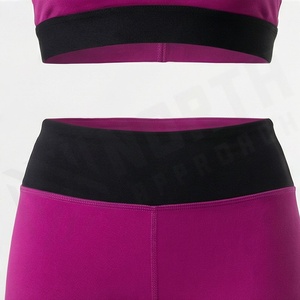 Ropa Deportiva de Compresión, Leggings para Mujer, Conjunto de Gimnasio y Fitness, Color Personalizado, Sujetadores Deportivos, Ropa Deportiva sin Costuras para Yoga y Entrenamiento - Product Image 5