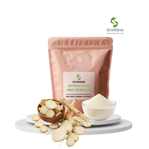 Extrait sec d'Astragale de qualité supérieure, conçu pour les acheteurs industriels ayant besoin d'une performance stable des ingrédients à base de plantes - Product Image 1