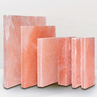 Briques de sel de l'Himalaya de haute qualité, dalles de sel rose premium du Pakistan pour les espaces bien-être, dalles murales en sel de l'Himalaya de qualité supérieure