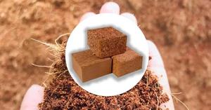 Briques de 650 grammes, briquettes de coco, blocs non lavés à haute teneur en EC, pour le jardinage, l'hydroponie, les plantes de pépinière et les applications agricoles - Product Image 3