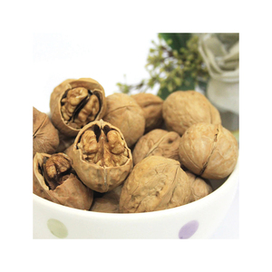 เมล็ดวอลนัทครึ่งซีกสีอ่อน เมล็ดวอลนัท เมล็ดวอลนัทสำหรับขาย - Product Image 6