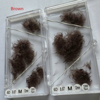 Ekstensi Bulu Mata Premade Warna Coklat, Campuran Panjang 0.07 Tebal, Curl CC/DD/M/L, Rambut Sintetis PBT Korea, Logo Custom