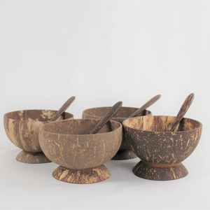 Bol en noix de coco bio avec base et cuillère de service pour salade et dessert végétaliens, vente en gros du Vietnam - Product Image 1