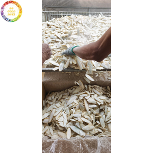 Hueso de Sepia Seco y Frito al Vacío VF de Primera Calidad para Aves, Masticable para Jaulas de Loros, Canarios, Pinzones y Periquitos - Product Image 6