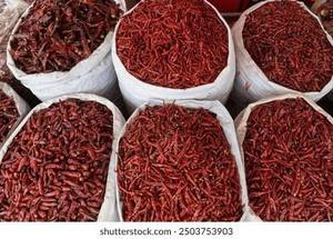 Chile Rojo Teja Premium con Esterilización a Vapor, Calidad de Exportación - Product Image 5