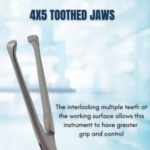 Forceps dentés Allis de qualité supérieure |   Poignées plaquées or |   Instruments chirurgicaux en acier inoxydable avec incrustation en carbure de tungstène CE ISO - Product Image 4