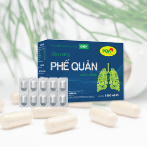 แคปซูลสมุนไพรบำรุงหลอดลมสำหรับผู้ใหญ่คุณภาพสูง ช่วยบำรุงปอด เสริมสร้างภูมิคุ้มกัน บรรเทาอาการไอ ขับเสมหะ บรรเทาอาการเจ็บคอ - Product Image 6