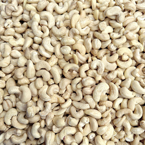 Wholesale High Quality Cashew <b>Nuts</b> Wholesale Ww320 Organic Cashew Organic Cashew <b>Nuts</b> Wholesale Exported To Asia, Middle East - Product Image 1