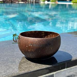 ชุดชามกะลามะพร้าวแบบใช้แล้วทิ้งพร้อมช้อน-เป็นมิตรกับสิ่งแวดล้อม น้ำหนักเบา-ดีไซน์โบฮีเมียนสำหรับแคมป์ปิ้ง-รับทำโลโก้ตามสั่ง-ขนาด 12-13 ซม. - Product Image 4