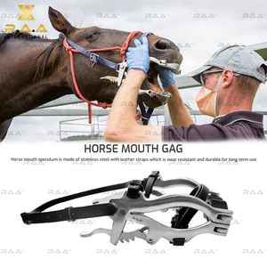 Trinquete Forjado de Calidad Premium con Correas de Cuero, Espéculo de Acero Inoxidable Estilo McPherson (Hausmann) con Placas de Presión de Repuesto - Product Image 6