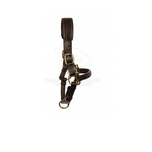 Harnais de cheval réglable, collier équestre, sangle résistante, ajustement confortable, options de taille et de couleur personnalisées - Product Image 4